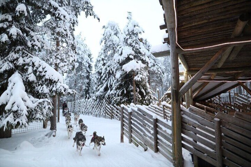 Santa Claus Village, Husky and Reindeers Combo Safari 