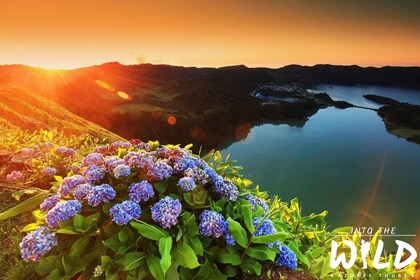 Sete Cidades 和 Lagoa do Fogo - 全日游