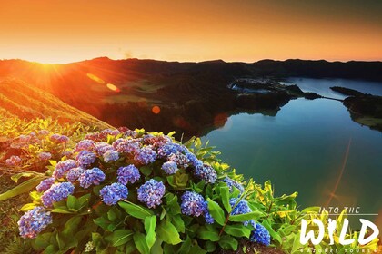 Sete Cidades & Lagoa do Fogo - Heldagstur