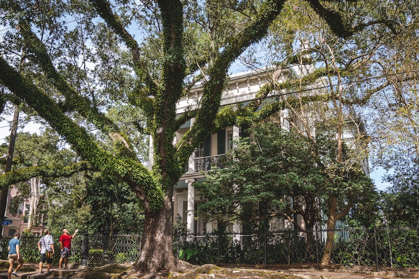 Discover Garden District in New Orleans