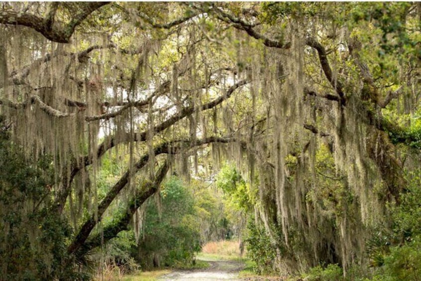 Myakka State Park E-bike Safari