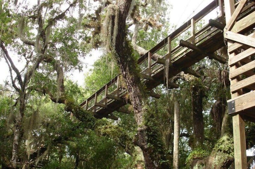 Myakka State Park E-bike Safari