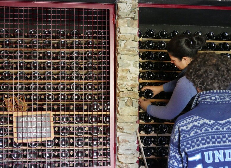 Picture 6 for Activity Douro Valley: Winery Tour at Quinta do Tedo and Tastings