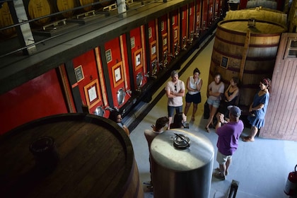 Valle del Duero: visita a la bodega de Quinta do Tedo y degustaciones