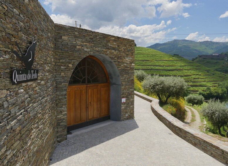Picture 14 for Activity Douro Valley: Winery Tour at Quinta do Tedo and Tastings