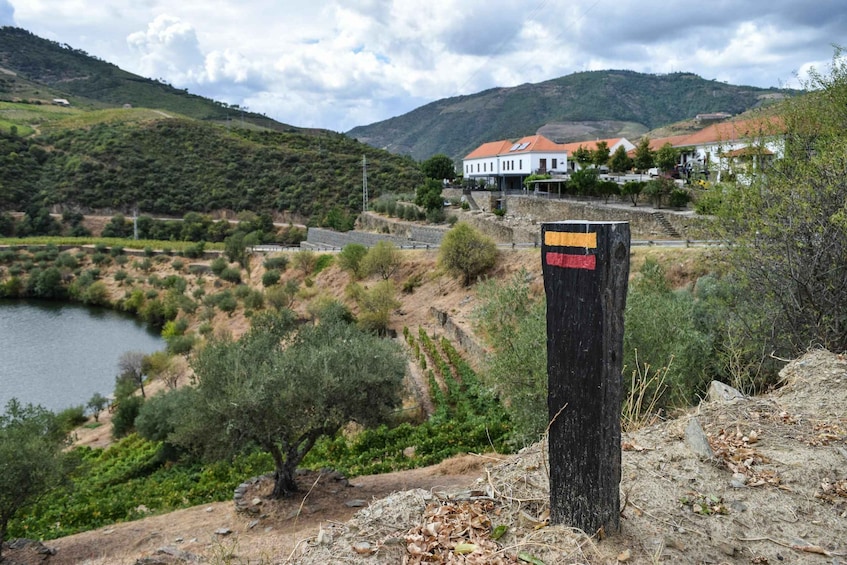 Picture 13 for Activity Douro Valley: Winery Tour at Quinta do Tedo and Tastings