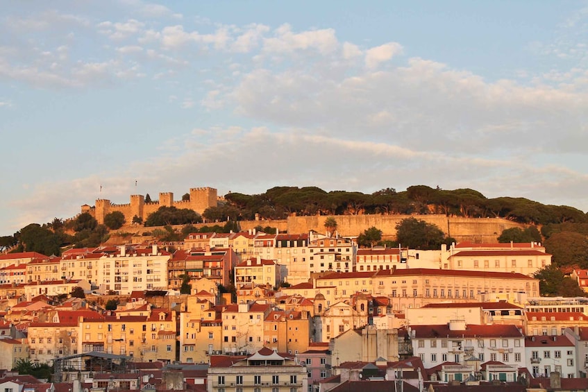 Lisbon: Full-Day Private Walking Sightseeing Tour