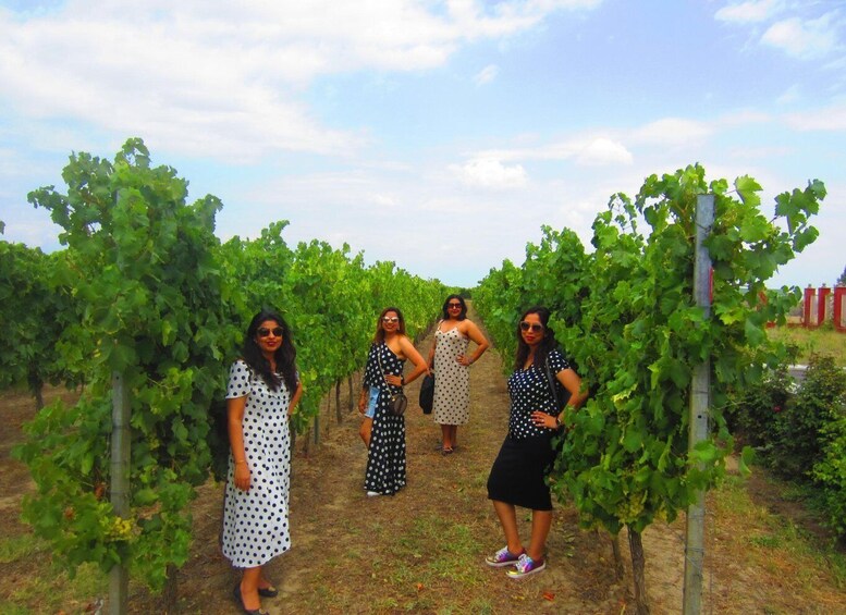 Picture 6 for Activity Baku: Qabala Winery Tour with Local Lunch