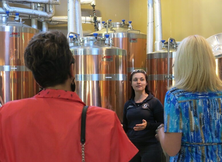 From Newcastle: Hunter Valley Brewery Tour with Lunch