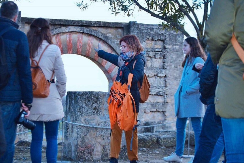 Picture 4 for Activity Cordoba: Half-Day Medina Azahara Guided Tour