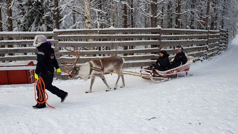 Rovaniemi: Husky Park and Reindeer Farm Combo by Minibus