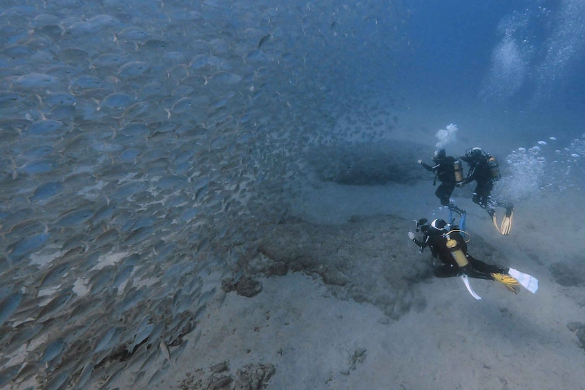 Picture 8 for Activity Gran Canaria: Discover Scuba Diving Beginner Program