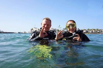 Gran Canaria : Programme de découverte de la plongée sous-marine pour début...