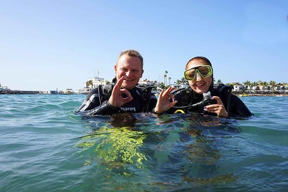 Gran Canaria : Découvrez le programme débutant de plongée sous-marine