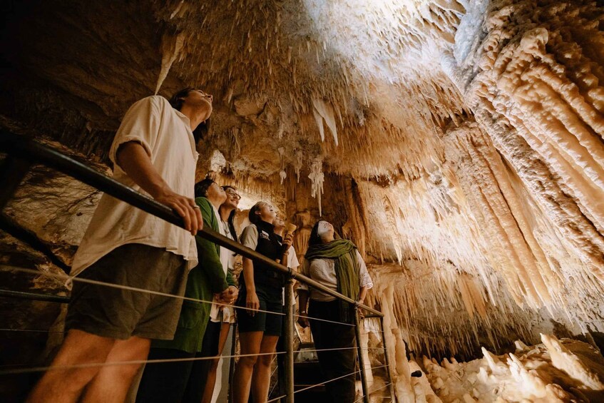 Picture 2 for Activity Augusta: Jewel Cave Fully-Guided Tour