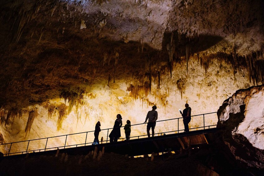 Picture 7 for Activity Augusta: Jewel Cave Fully-Guided Tour