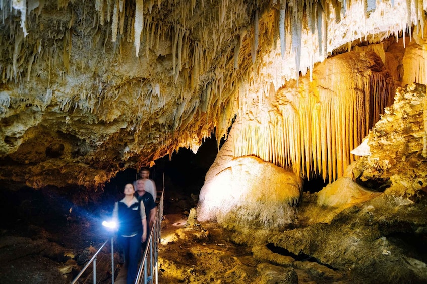Picture 19 for Activity Augusta: Jewel Cave Fully-Guided Tour