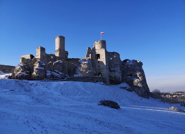 Picture 7 for Activity From Krakow: "The Witcher" Ogrodzieniec Castle Private Trip