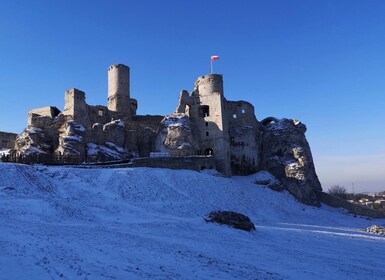 Desde Cracovia: viaje privado al castillo de Ogrodzieniec de "The Witcher"