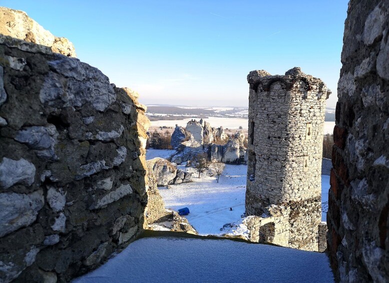 Picture 3 for Activity From Krakow: "The Witcher" Ogrodzieniec Castle Private Trip