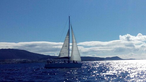 Tenerife: crucero en velero privado o grupal de 3 horas con bebidas