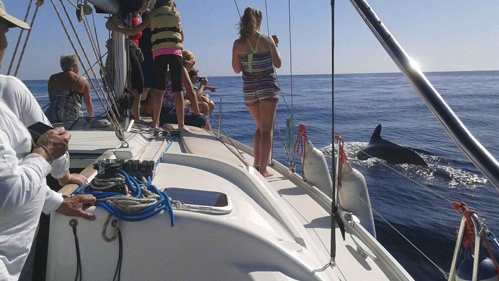 Picture 3 for Activity Tenerife: Private or Group 3 Hour Sailing Cruise with Drinks