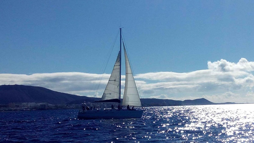 Tenerife: Private or Group 3 Hour Sailing Cruise with Drinks