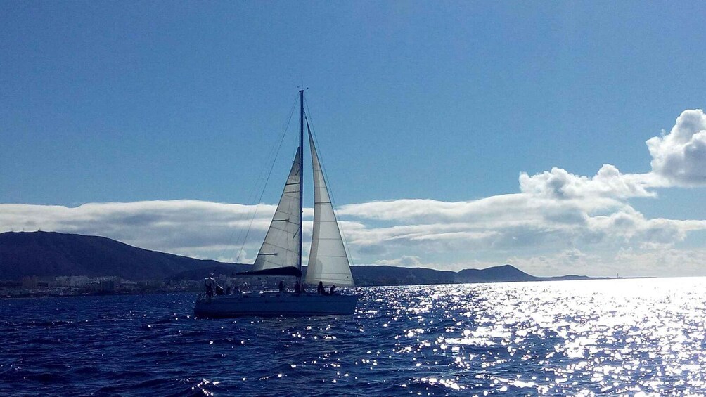 Tenerife: Private or Group 3 Hour Sailing Cruise with Drinks