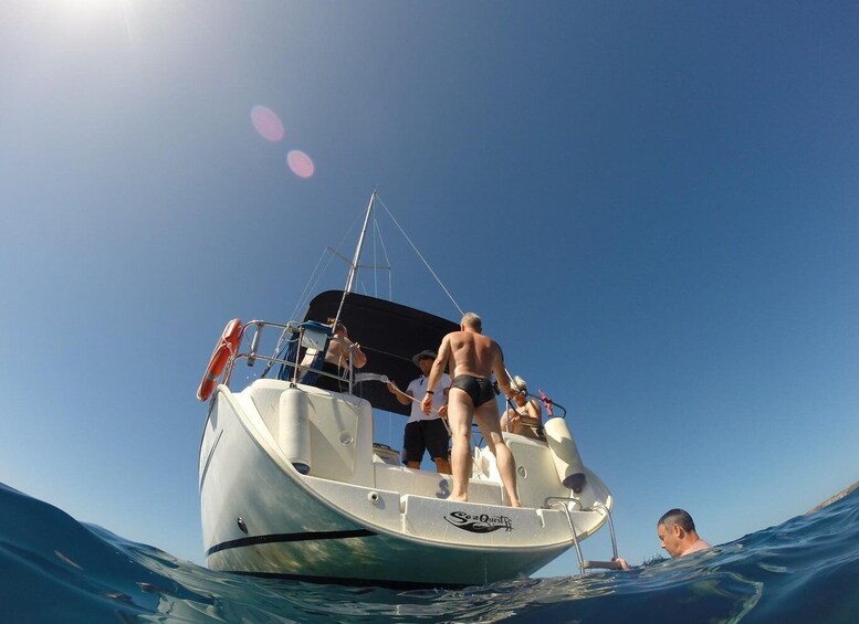 Picture 4 for Activity Tenerife: Private or Group 3 Hour Sailing Cruise with Drinks