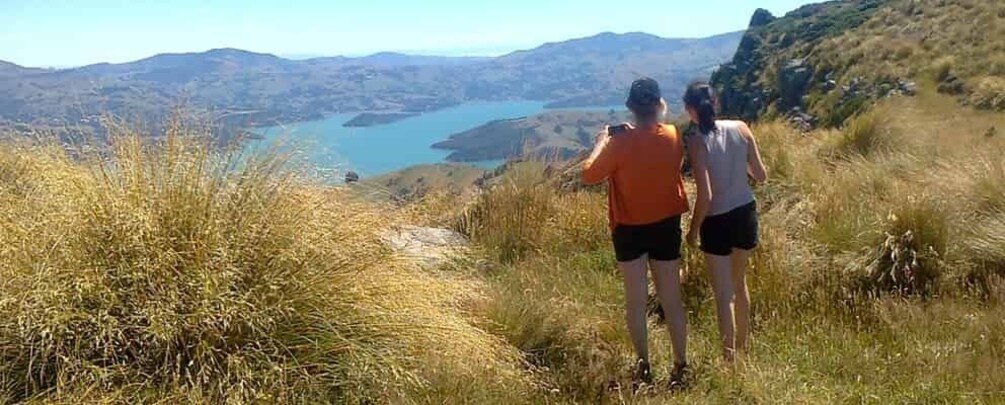 Picture 3 for Activity Akaroa: Pohatu Penguins Scenic Nature 2-Hour or 4-Hour Tour