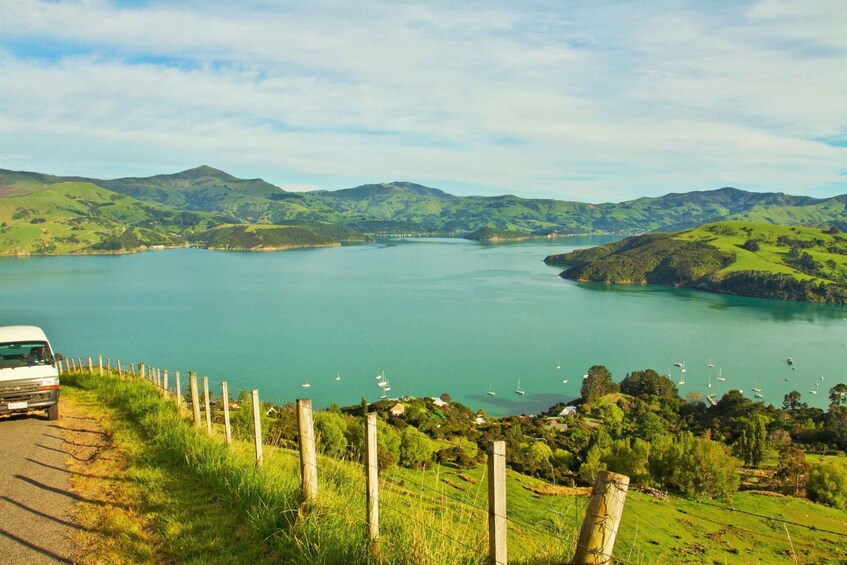 Picture 1 for Activity Akaroa: Pohatu Penguins Scenic Nature 2-Hour or 4-Hour Tour