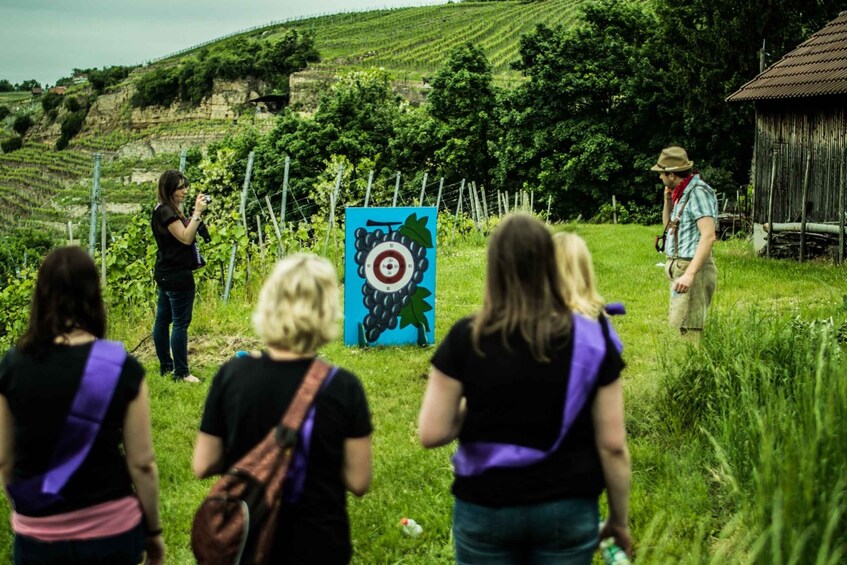 Picture 2 for Activity Stuttgart: Guided Vineyards Tour