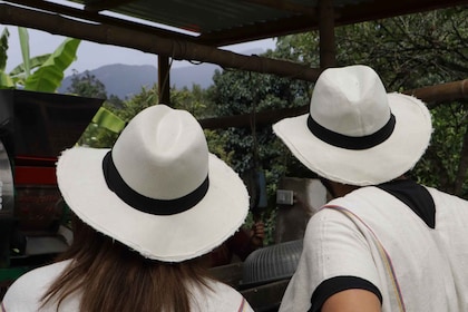 Bogotá: tour guiado de 5 horas a una finca de café