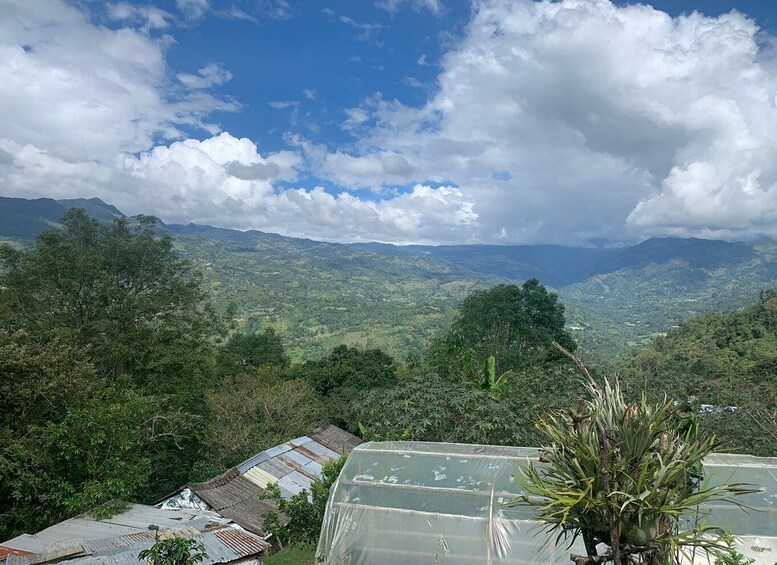 Picture 10 for Activity Bogotá: Guided 5-Hour Coffee Farm Tour