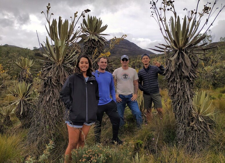 Picture 5 for Activity Bogotá: Guided 5-Hour Coffee Farm Tour