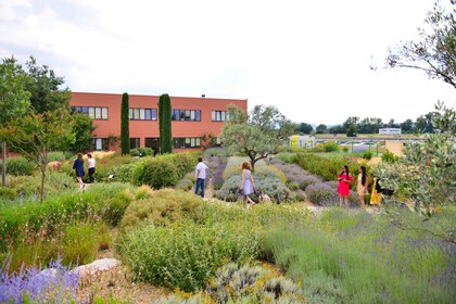 Manosque: L'Occitane en Provence Rondleiding door de fabriek