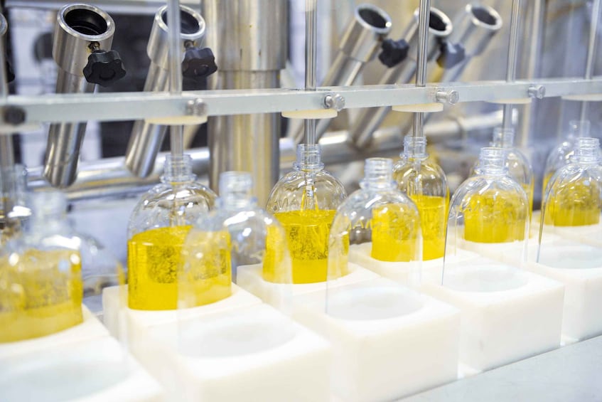 Picture 4 for Activity Manosque: L'Occitane en Provence Guided Factory Tour