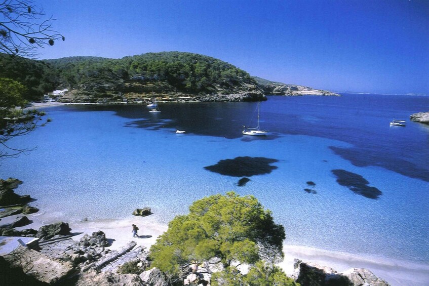 Picture 8 for Activity Ibiza: Snorkeling and SUP Paddle, Beach and Cave Cruise