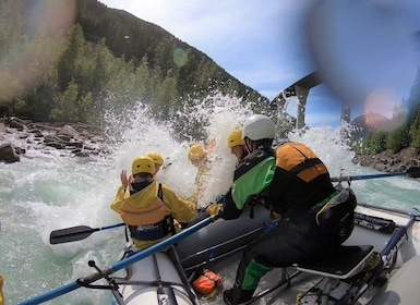 Kicking Horse River: Whitewater Rafting Half-Day Trip