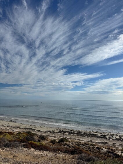 Picture 100 for Activity Adelaide: South Australia Guided Full-Day Highlights Tour