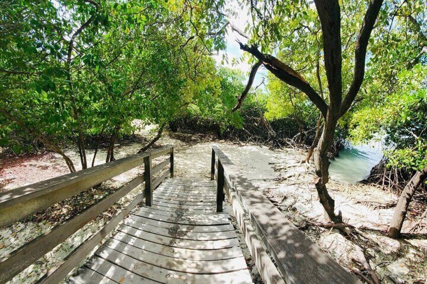 Arrival at Mangel Halto, surrounded by mangroves and clear blue waters.