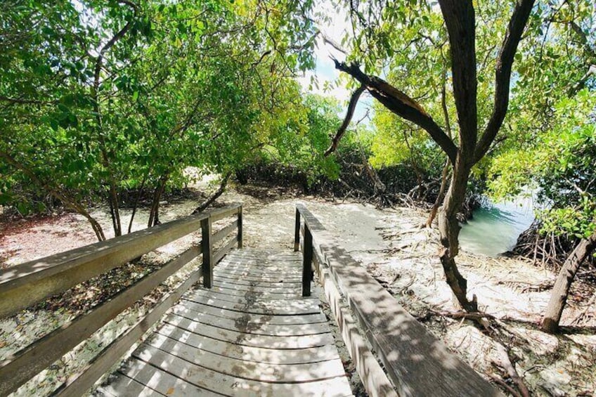Arrival at Mangel Halto, surrounded by mangroves and clear blue waters.