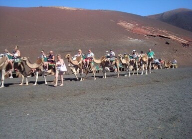 Lanzarote : Parc national de Timanfaya excursion