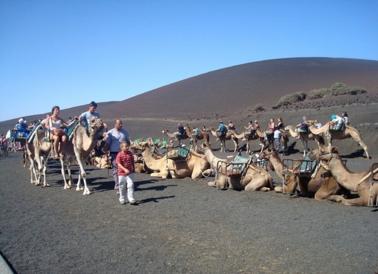 Picture 1 for Activity Lanzarote: Timanfaya National Park Tour