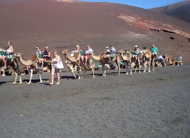 Lanzarote: Timanfaya National Park Tour