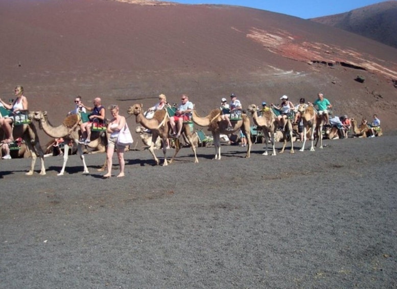 Lanzarote: Timanfaya National Park and La Geria Day Tour