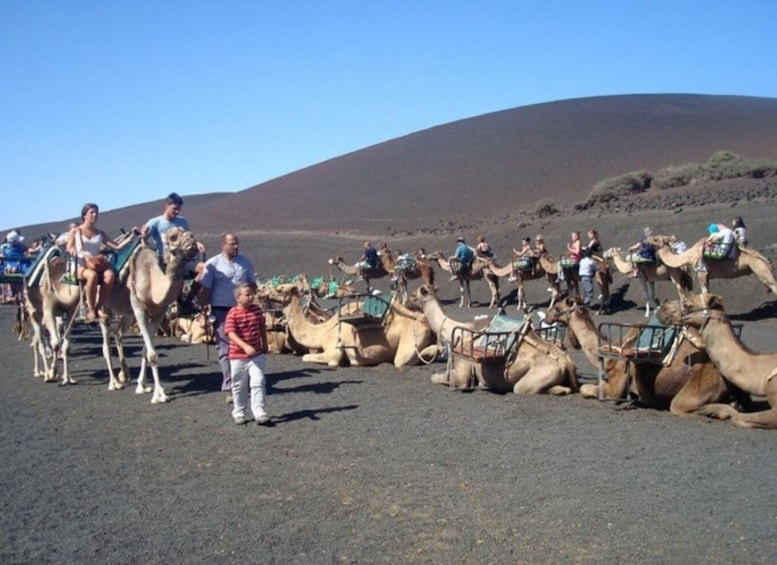Picture 1 for Activity Lanzarote: Timanfaya National Park and La Geria Day Tour