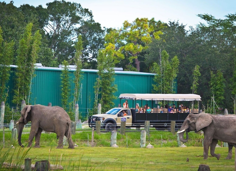 Picture 4 for Activity Tampa: ZooTampa at Lowry Park Entry Ticket