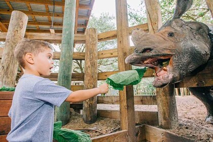 Tampa: ZooTampa at Lowry Park Entry Ticket