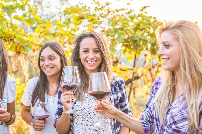 From Los Gatos: South Bay Wineries Tour